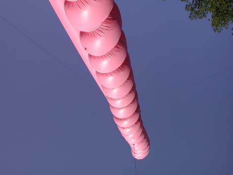 colonne_rose_153