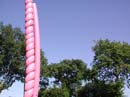 colonne_rose_164