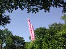 colonne_rose_168