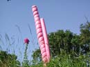 colonne_rose_169