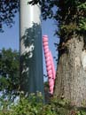 colonne_rose_174